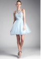 Illusion Neck Embellished Tulle Gown