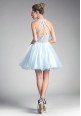 Illusion Neck Embellished Tulle Gown