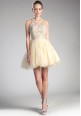 Illusion Neck Embellished Tulle Gown