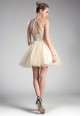 Illusion Neck Embellished Tulle Gown