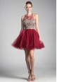 Illusion Neck Embellished Tulle Gown